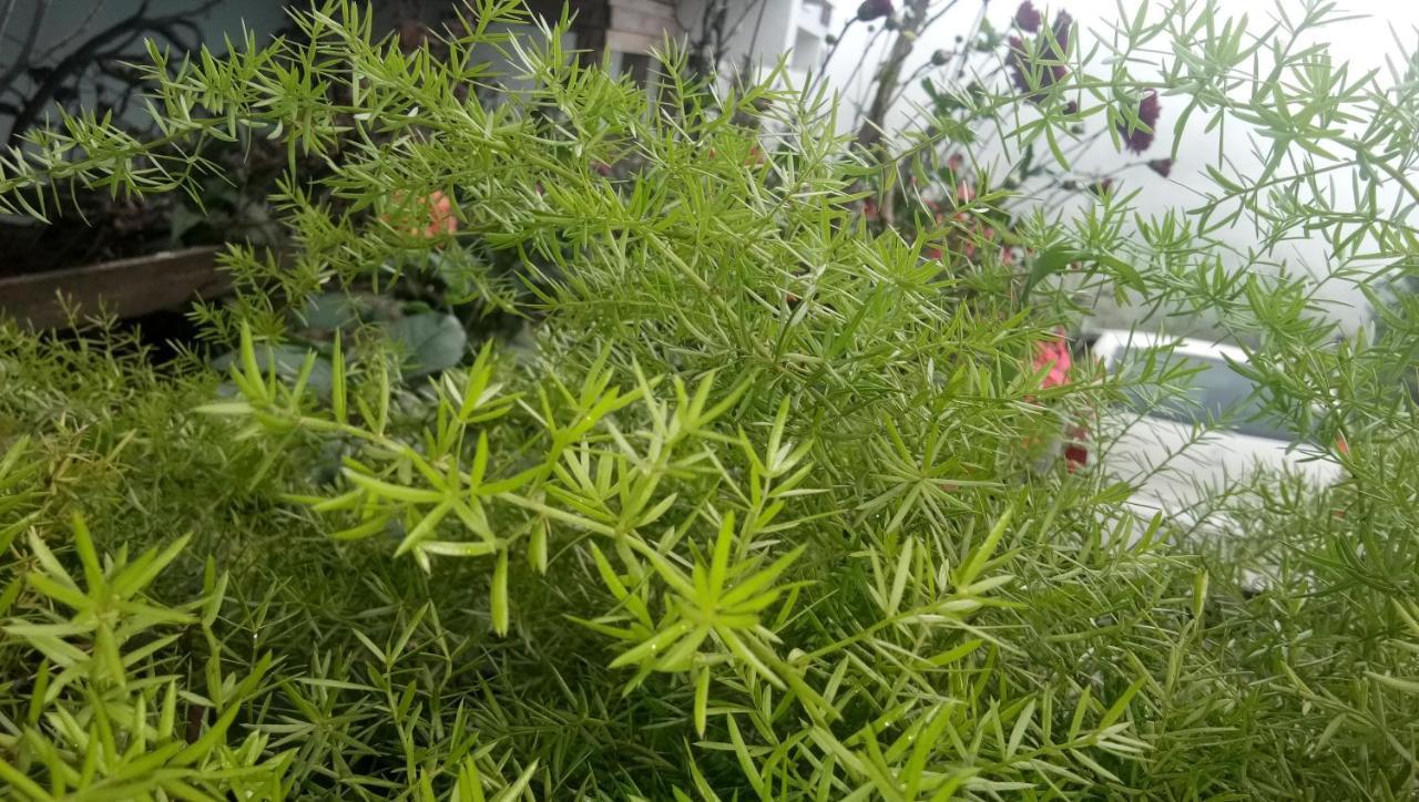 فندق كوديكانالفي  Ezhil Residency المظهر الخارجي الصورة